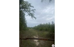 CR 3217, Atlanta, TX 75551