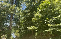 Excalibur Trail (Lot 239), Cedar Grove, TN 38321