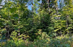 3397 Indian Road, Brutus, MI 49716