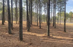 179 High Point Lane, Jasper, TN 37347