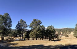 101 Bogie Lane lot: 8A, Ruidoso, NM 88345