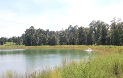 290 County Road 173, Jasper, TX 75951