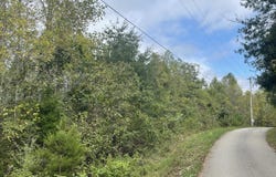 Shepperd lot: 51, Nancy, KY 42544