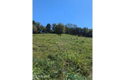 10816 Richland Rd, Mascot, TN 37806