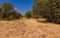 County Road 2644, Lometa, TX 76853