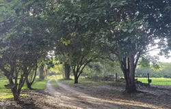 5234 75TH Place, Live Oak, FL 32060