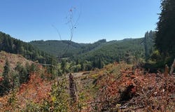 Van Horn (140) Rd, Alsea, OR 97324