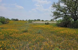 Starks Road, Mason, TX 76856