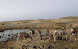 43105 Highway 91, Brewster, NE 68833