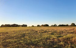 County Road 2813, Eustace, TX 75124