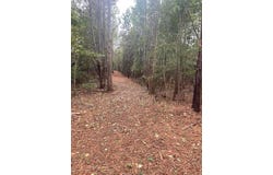 LEE ROAD 155 lot: 2A-1, SALEM, AL 36874