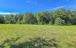 County Road 8c, Cross Timbers, MO 65634