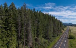 NKA 96 AC Highway 6, Harvard, ID 83834
