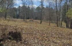 486 Walthall Road, Jackson, GA 30233