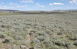 WHITE BEAR Road, Daniel, WY 83115
