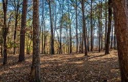 Miller Point (Lot 47) Drive, Quitman, AR 72067