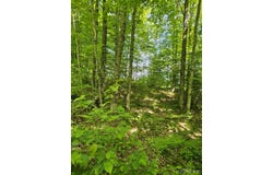 W Herzog Road lot: W Herzog Rd, Iron Mountain, MI 49801