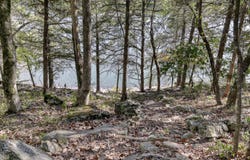 18715 Fr 2285, Eagle Rock, MO 65641