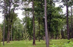 U.S. Highway 160 W, West Plains, MO 65775