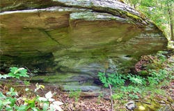 County Highway 48, Oneonta, NY 13820