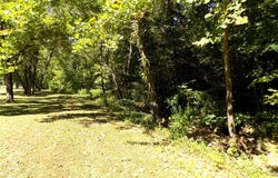 Private Drive 7139, Rolla, MO 65401