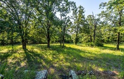 22132 Ray Wc 4425 Road, Evansville, AR 72948