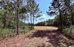 7282 Buffalo Ridge Rd, Pace, FL 32571