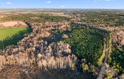 Thomas Road, Millen, GA 30442