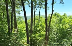 Davis Acres lot: 48 & 49, West Jefferson, NC 28694