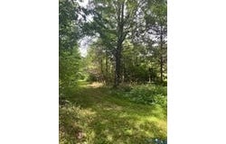 Beaverdam, VA 23015