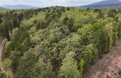 Rebecca's Road, Waldron, AR 72958