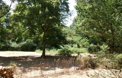 6777 Fm 992 N, De Kalb, TX 75559