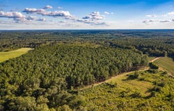 Bell Crossing Road, Opp, AL 36467