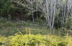 Yellow Mountain Rd, Roanoke, VA 24014
