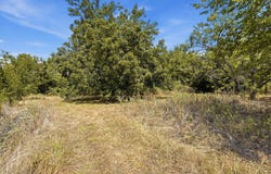 3703 Holbrook Road, Springtown, TX 76082