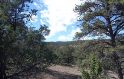 Ranch Road-Tee Pee Ranch lot: 88, Datil, NM 87821