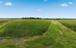 290 Hcr 3424 W, Malone, TX 76660