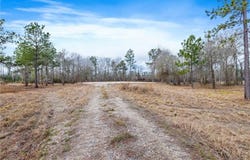 0 Conway Rosteet Road, Ragley, LA 70657