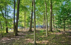 15511 Pless Lane, Spring Lake, MI 49456