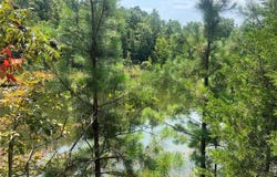 County Road 341, Piedmont, MO 63957