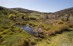 Parsons Draw Road, Walden, CO 80480