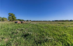 0 Nelius Rd, BELLVILLE, TX 77418