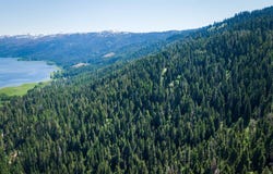 Burnt Wagon Trail, Cascade, ID 83611