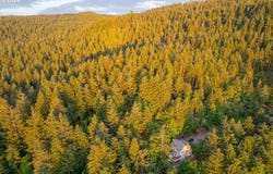 S 73rd Ave, Springfield, OR 97478