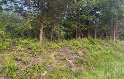 Old Ridge Rd, Warwick, NY 10990