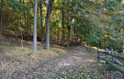 2 RESERVOIR Lane, RIDGELEY, WV 26753