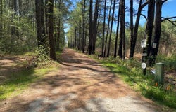BACK CREEK RD lot: 55B, HACKSNECK, VA 23358