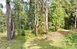 Boscage, Springfield, OR 97478