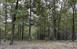 Vista View Pl, Hot Springs, AR 71901