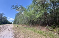 0140 USINA Avenue, Interlachen, FL 32148